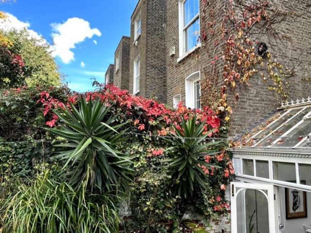 Kensington Secret Gem Apartment London Room photo